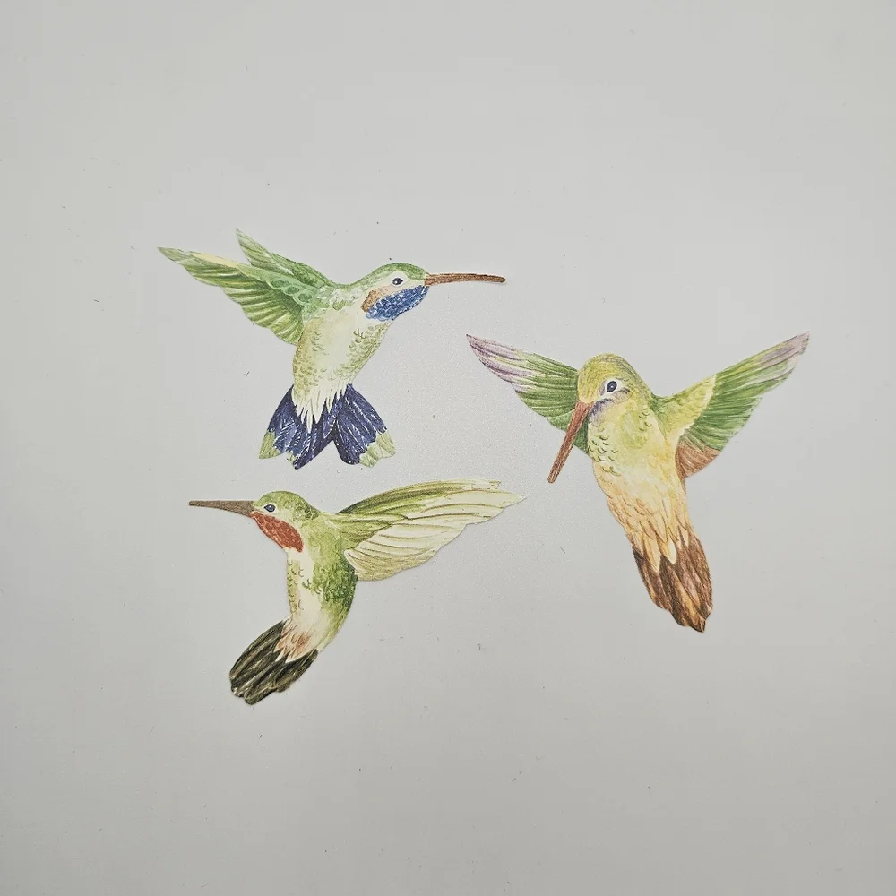 Daisy Kingdom Hummingbird Wallies Wallpaper Cut Outs